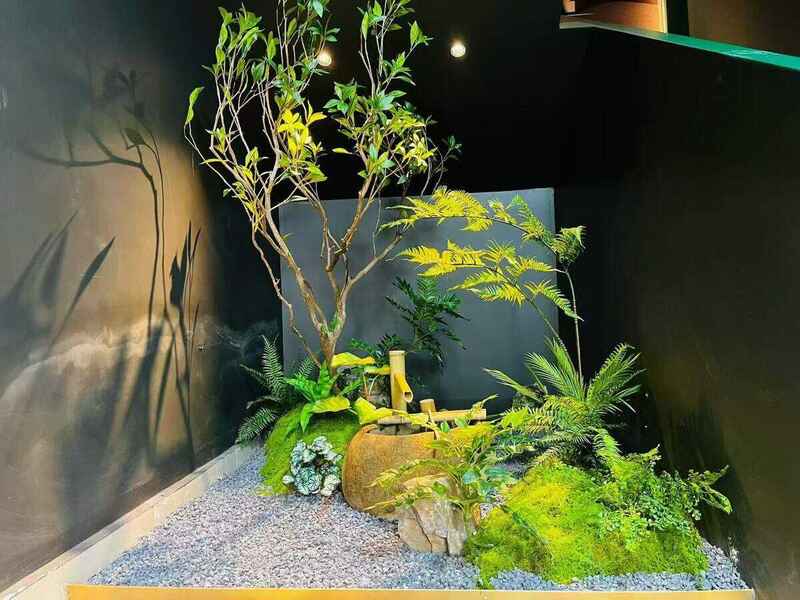 成都绿植租摆-开放办公区绿化